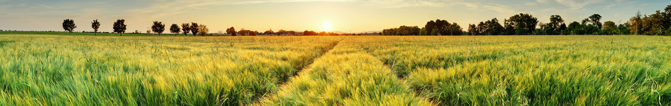 matériel pour l'agriculture